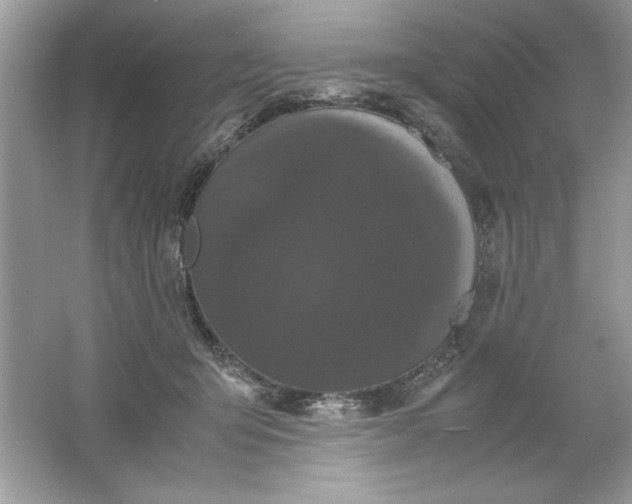 X0000061760415200512161749