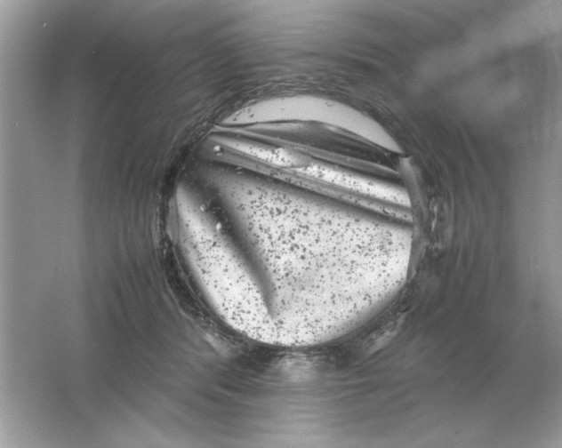 X0000061760416200512161748