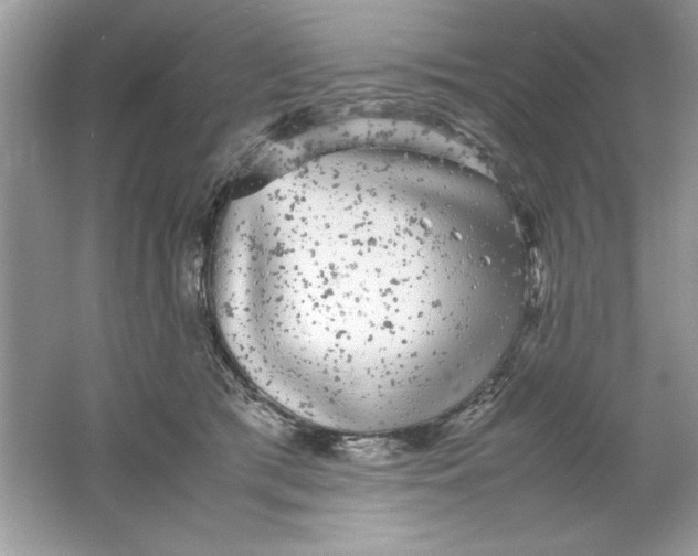 X0000061760417200512161748