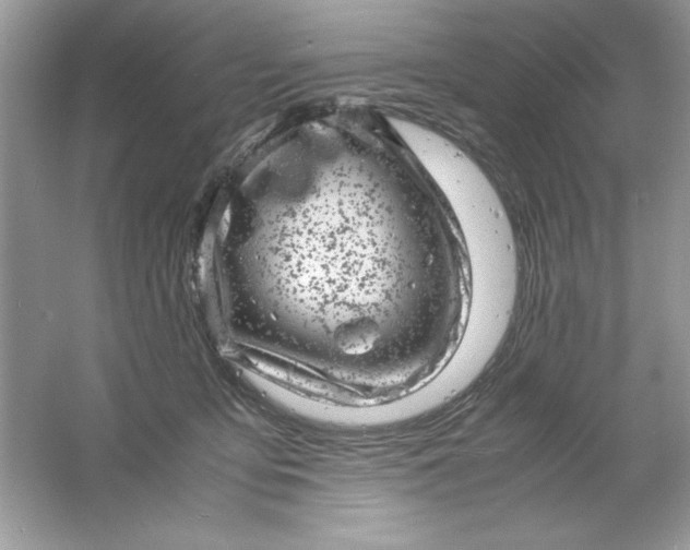 X0000061760419200512161748