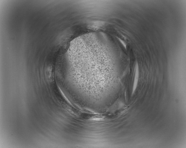 X0000061760420200512161748