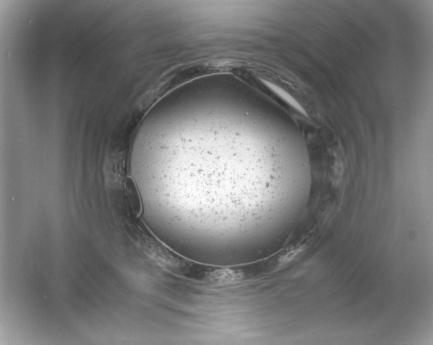 X0000061760421200512161748