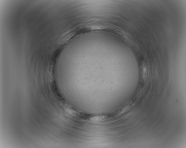 X0000061760422200512161748