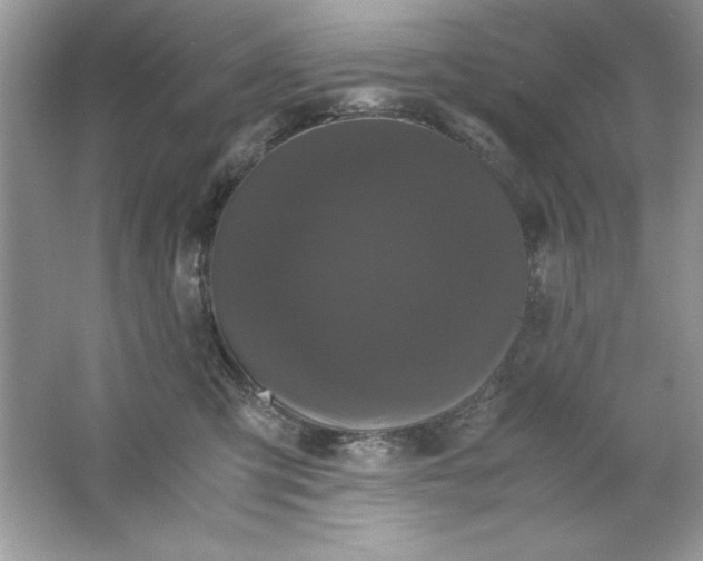 X0000061760423200512161748