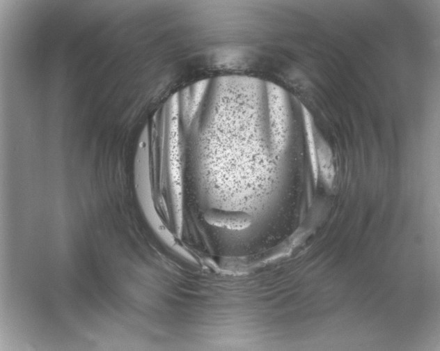 X0000061760424200512161748