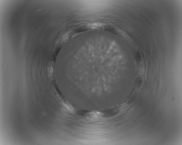 X0000061760427200512161748