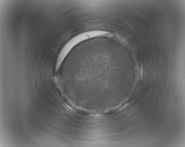 X0000061760428200512161748