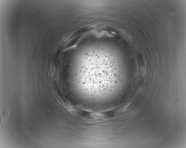 X0000061760429200512161748