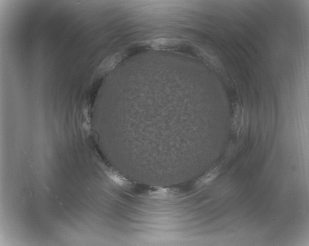 X0000061760430200512161748