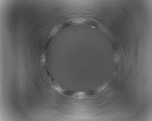 X0000061760431200512161748