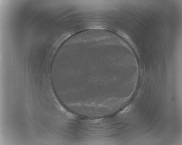 X0000061760433200512161747