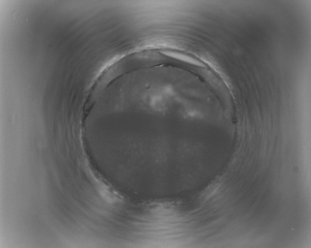 X0000061760434200512161747