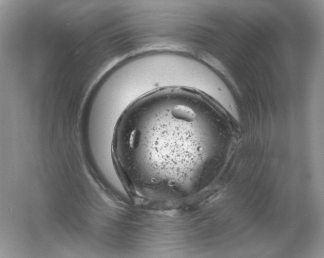 X0000061760436200512161747