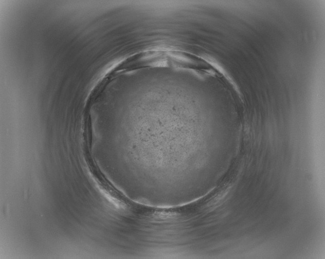 X0000061760437200512161747