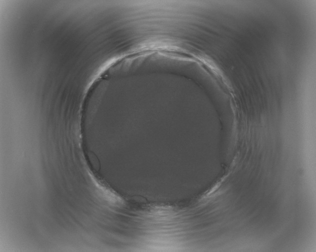 X0000061760438200512161747