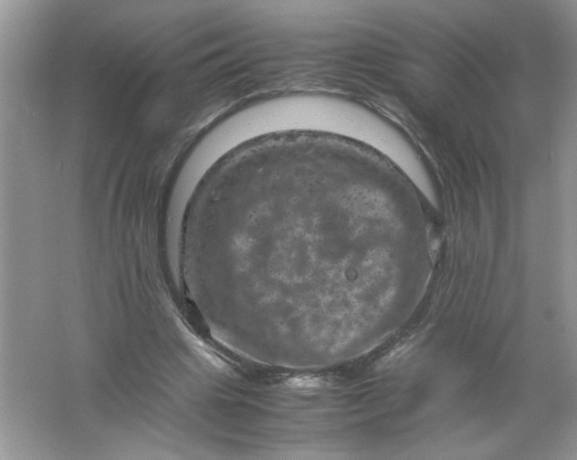 X0000061760441200512161748