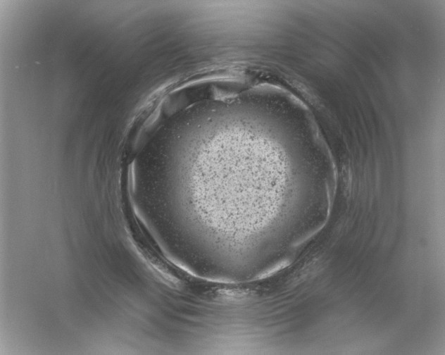 X0000061760442200512161748