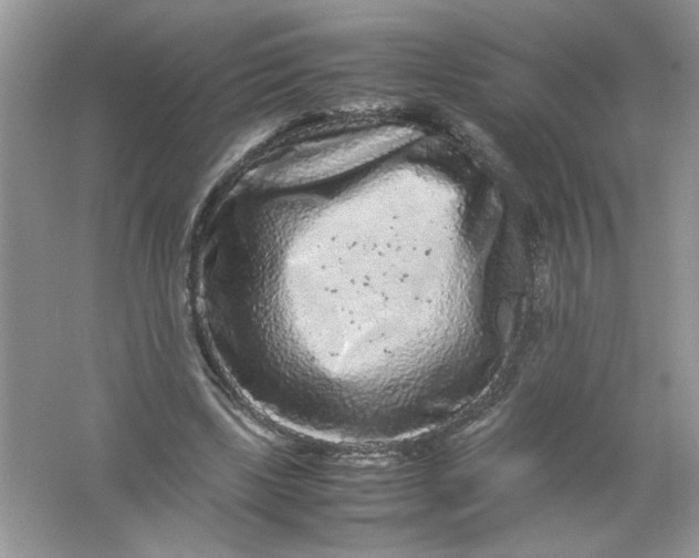 X0000061760443200512161748