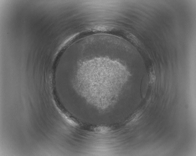 X0000061760444200512161748