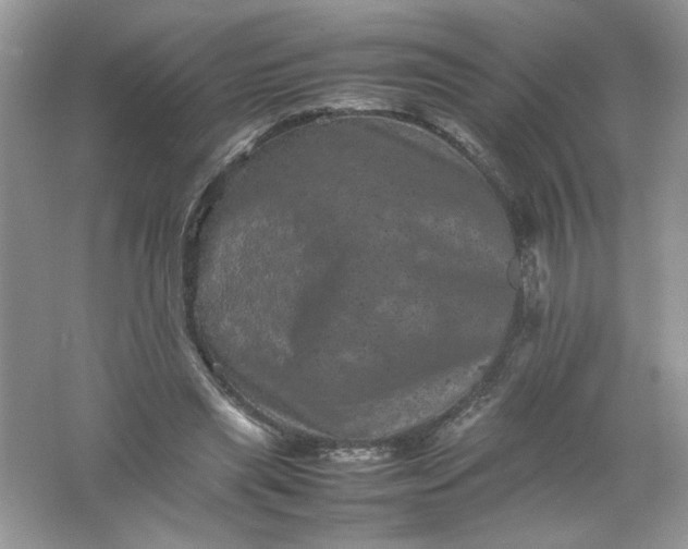 X0000061760445200512161748