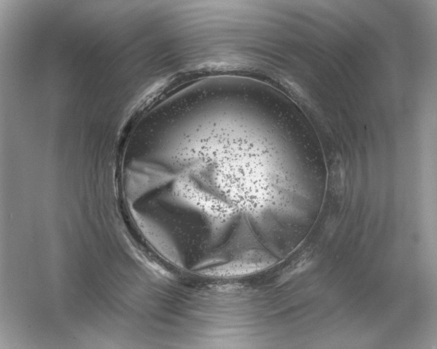 X0000061760446200512161748