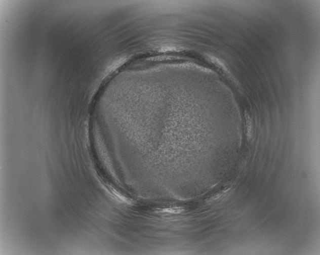 X0000061760447200512161748