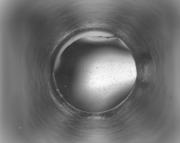 X0000061760448200512161748