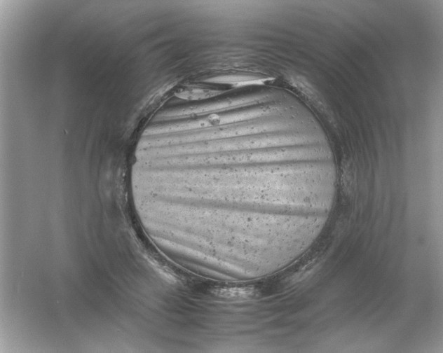 X0000061760449200512161748