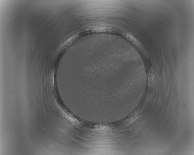 X0000061760454200512161748