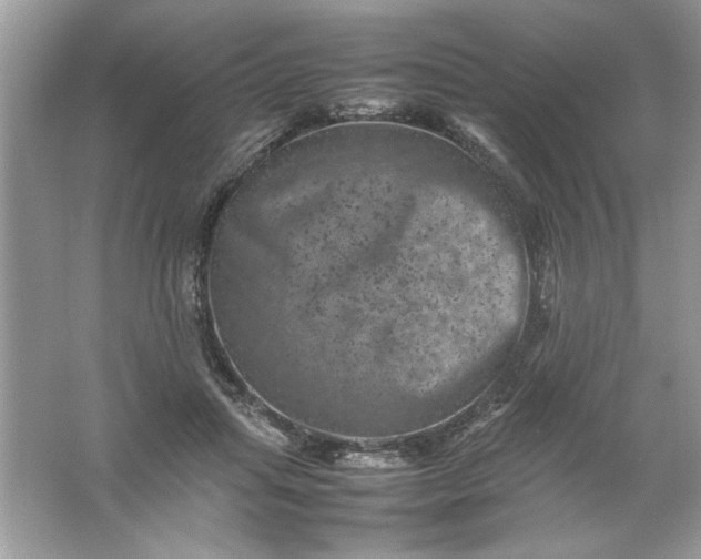 X0000061760455200512161748