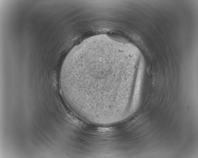 X0000061760457200512161748