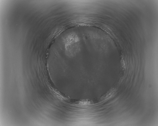 X0000061760458200512161748