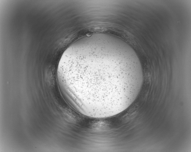 X0000061760460200512161748