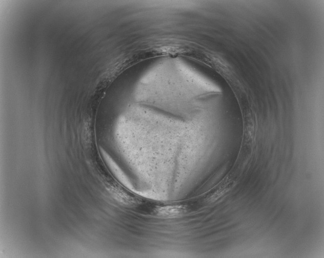 X0000061760461200512161748