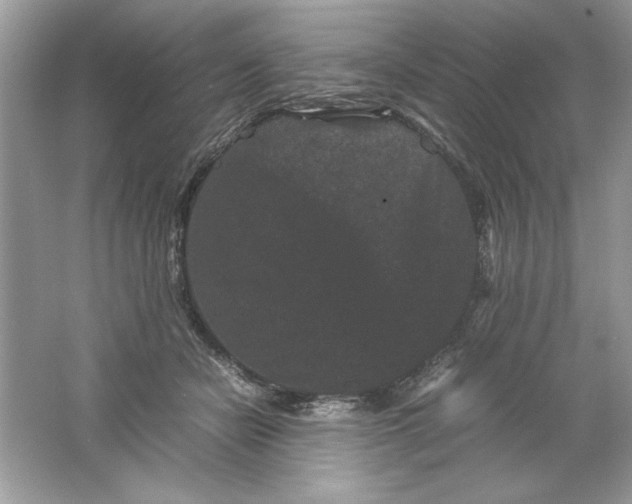 X0000061760462200512161748