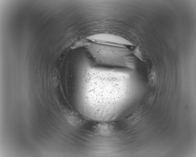 X0000061760464200512161748