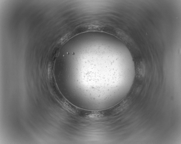 X0000061760468200512161748