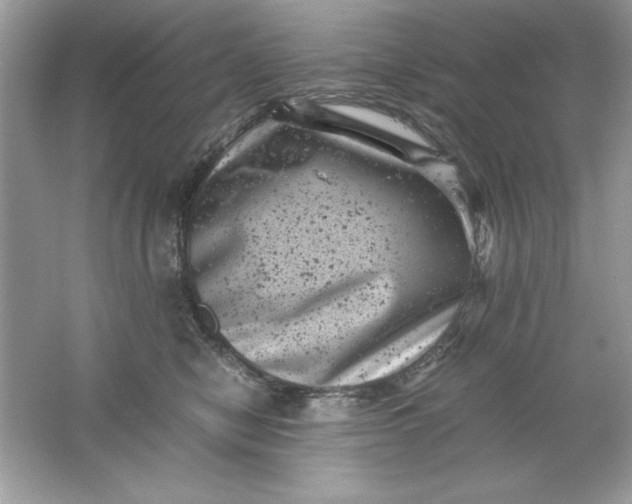 X0000061760470200512161748