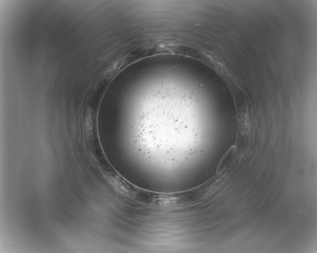 X0000061760472200512161748