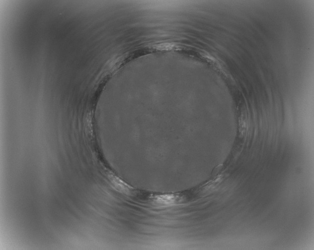 X0000061760473200512161748