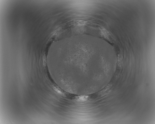 X0000061760474200512161748