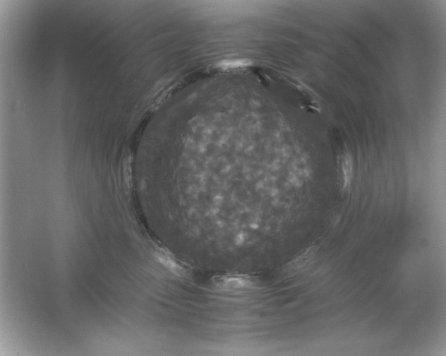 X0000061760475200512161748