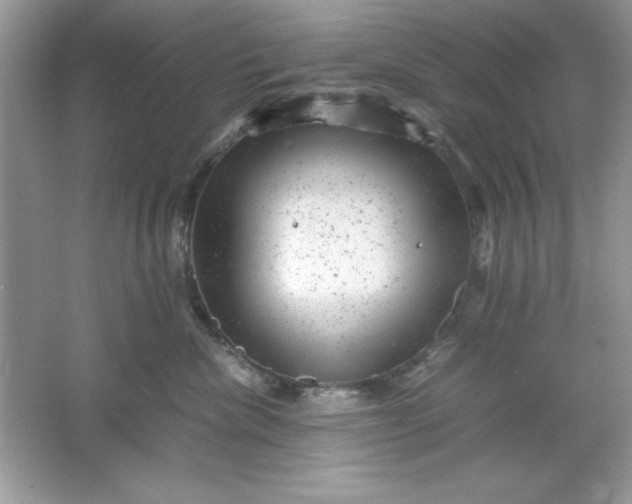 X0000061760476200512161748