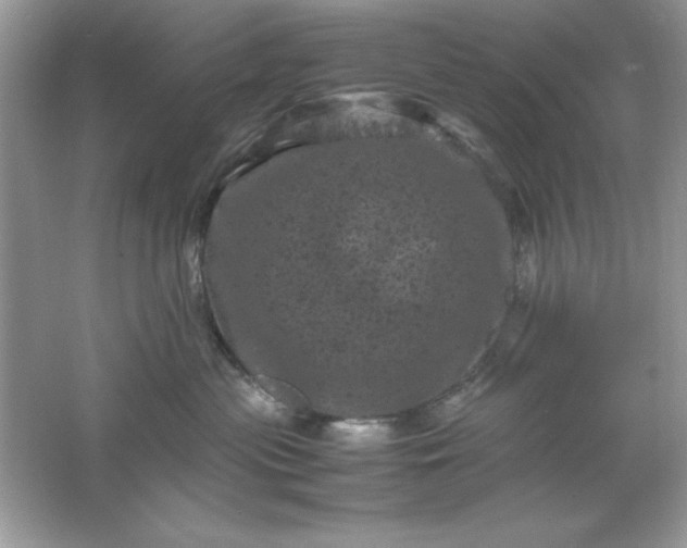 X0000061760477200512161748