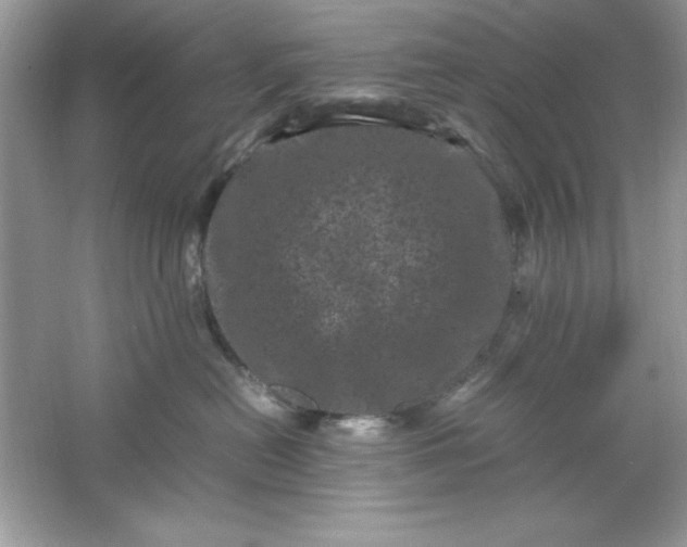 X0000061760478200512161748