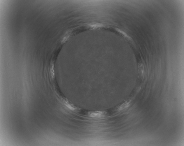 X0000061760479200512161748