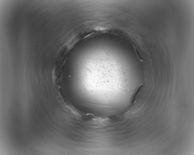 X0000061760480200512161748