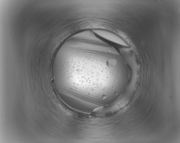 X0000061760481200512161747