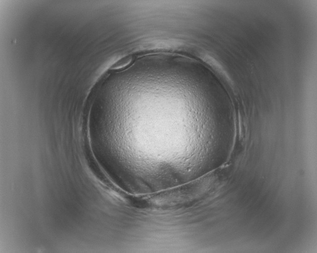 X0000061760483200512161747