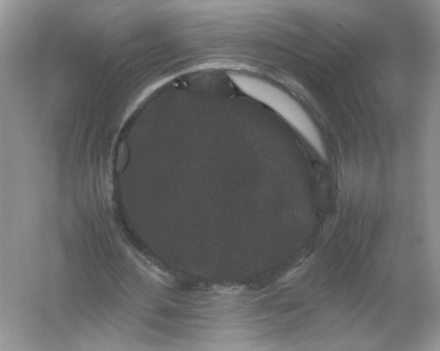 X0000061760484200512161747